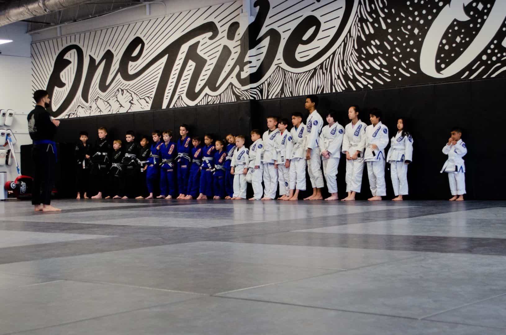 Brazilian Jiu Jitsu vs. Karate